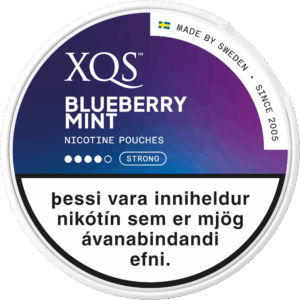 Xqs Blueberry Mint – nikótínpúðar vöru mynd